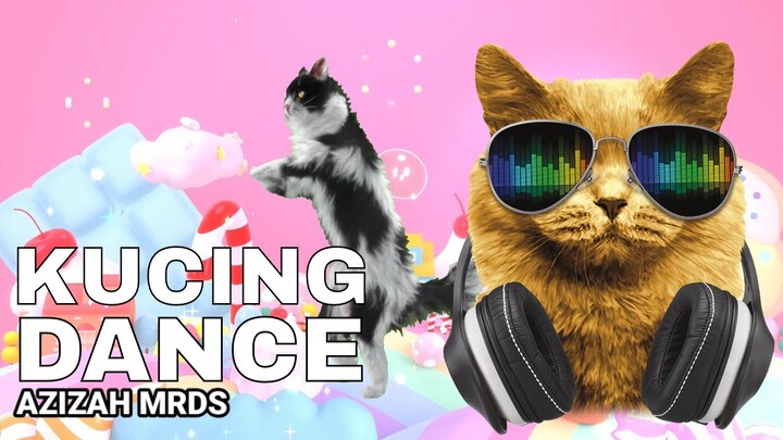 Kucing Lucu dan Imut Dance tiktok Joget Remix Seru Banget Bikin Ngakak dan Ngegemesin Terbaru Viral
