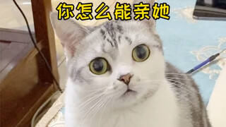 When you tell your cat that you don't like her anymore!