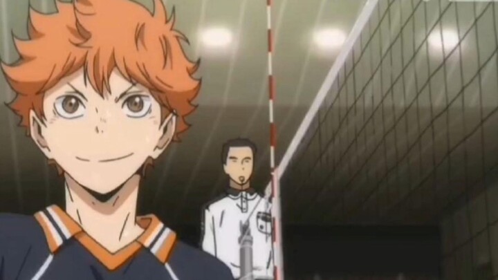 Hinata Shoyo: Setter Harvester