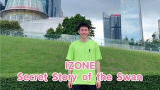 IZONE最新回归幻想童话Secret Story of the Swan男生翻跳