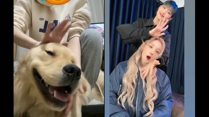 宋雨琦丨米妮 小狗开花《智秀-Flower》