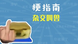 杂交叫兽是什么东西【梗指南】
