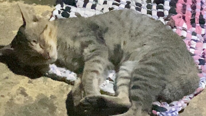 kiping