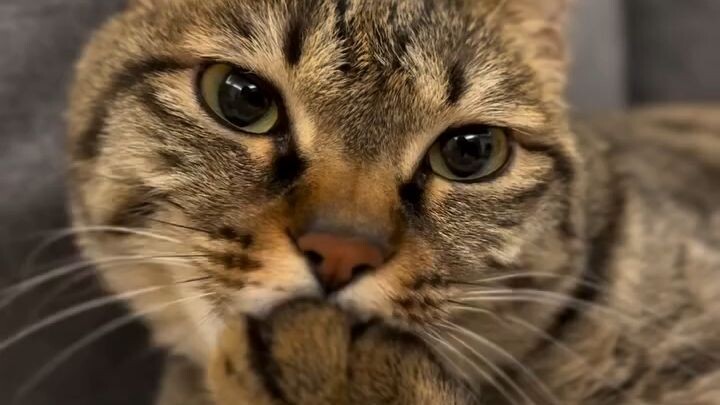 let fun with my mom 12.00-14.00pm