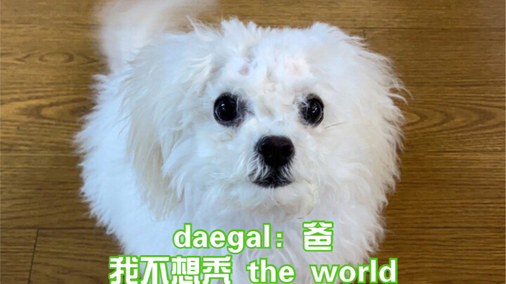 [daegal: It’s pretty “bald”-ly sudden]