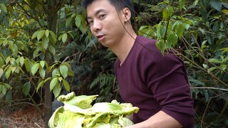 Huanong Brothers: The sow gave birth to 9 cute piglets. Let's make some delicious food for them to n