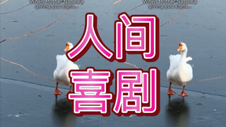 Human Comedy Pt.8 I immediately opened my Duolingo...