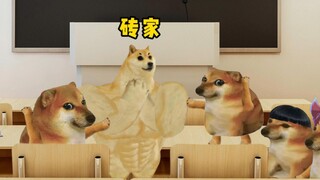 老师你说的真有道理
