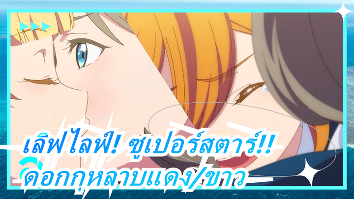 [เลิฟไลฟ์! ซูเปอร์สตาร์!!]ดอกกุหลาบแดง/ขาว--- เค่อเคอ&ซูมิเระ/คานอน- หงเหม่ยกุ้ย