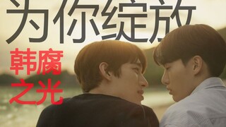 韩腐之光 深度解读《为你绽放》隐藏在平凡爱情里的三个深意