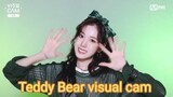Teddy Bear visual cam - Stayc