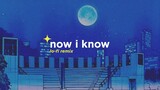 Kaleb J - Now I Know (Alphasvara Lo-Fi Remix)