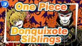 One Piece|【 Birthday Celebration】Donquixote Siblings_3