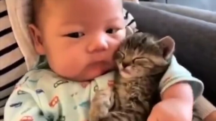 No age can resist cats.