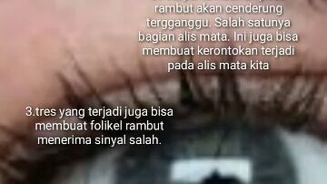 fakta unik alis mata