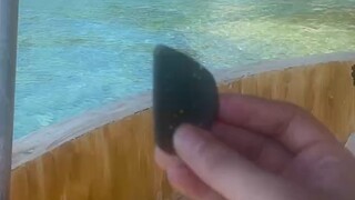 “别嫌弃我幼稚，我对喜欢的人从来不用脑子，只用心”