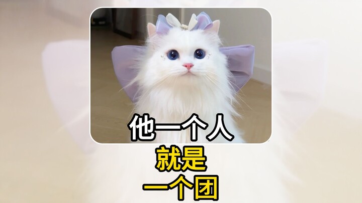 จบเกมที่ทำให้แมวเหมียวลุกเป็นไฟไปเลย【สามก๊ก: วางแผนทั่วหล้า】