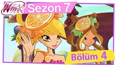 Winx Club - Sezon 7 Bölüm 4 - Evrenin İlk Rengi