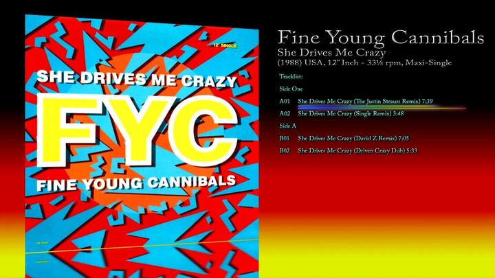 Fine Young Cannibals (1988) She Drives Me Crazy [12' Inch - 33⅓ RPM - Maxi-Single]