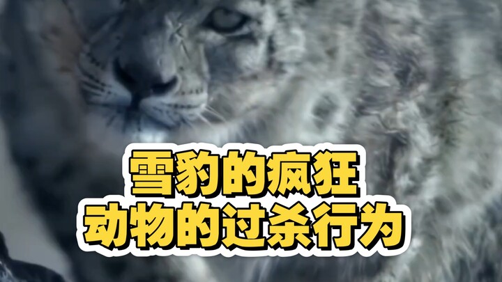Sự điên cuồng của báo tuyết, hành vi sát hại quá mức của động vật.