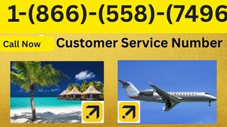 United AIRLINES Customer Service | Full Guide to 24/7 Chat, Call & Email Support