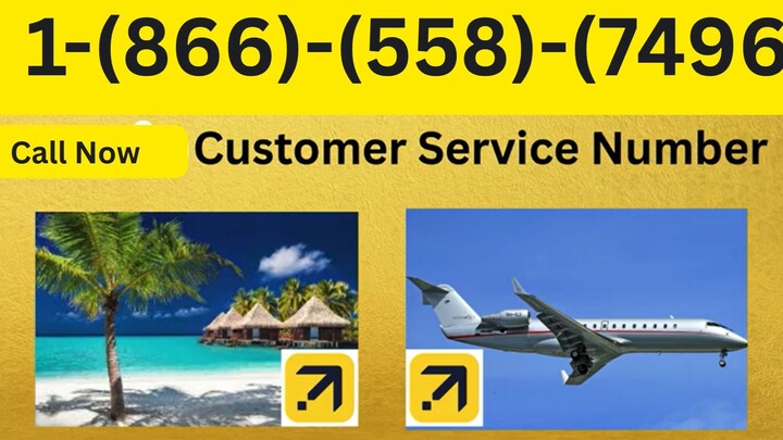 United AIRLINES Customer Service | Full Guide to 24/7 Chat, Call & Email Support