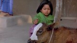 matir moyna মাটির ময়না (২০০২)  Bangla movie