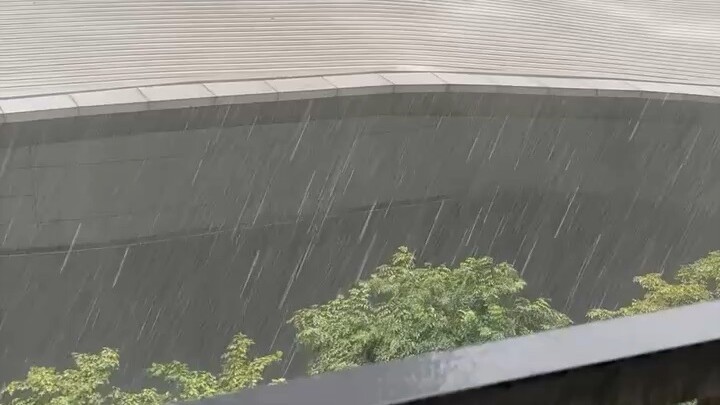 今朝有酒今朝醉,生活不能太疲惫!该吃该喝别遭罪~😻