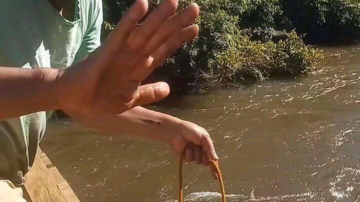 Magnetic fishing 🧲〽️ Magnetic hands ✋ 🪙🌊⚓ Thrill of the unknown 💍 😱🗡️ Ecological presence 🌴🌳