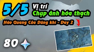 Vị trí 5 Hóa thạch ở Vực Đá Sâu - 80NT | Hào Quang Của Dũng Khí - Day 2 | The Chasm Genshin Impact