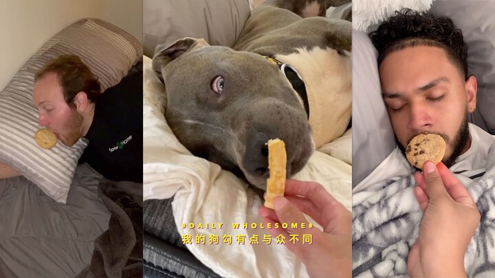 #Daily Heartwarming# My Dog Is a Little Different