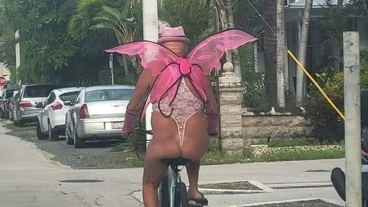 QUÁ HAY!