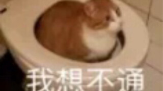 Tập thể dục trong ký túc xá nè