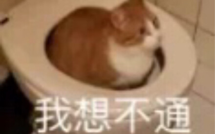 Tập thể dục trong ký túc xá nè