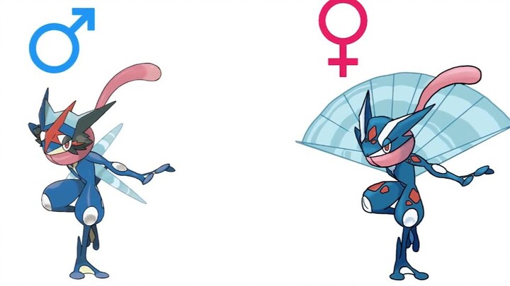 If Pokémon had gender differences