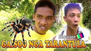 GAISOG NGA TARANTULA🤣😅