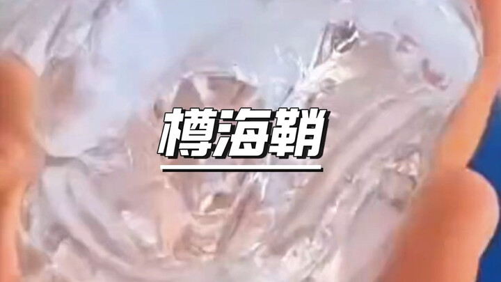 The oddly shaped sea squirt is also a carbon-absorbing expert.