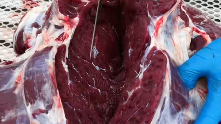 Let’s see if there’s any meat your friend likes to eat.