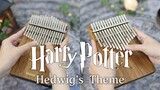 【哈利波特】你在等霍格沃茨的通知书吗？Hedwig’s Theme 双拇指琴版神秘空灵