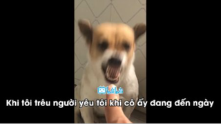 Những Con Người Mặn Mòi Nhất Hành Tinh p46 #giaitri