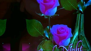 💖💖