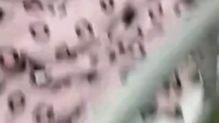 الفن لا يمكن تجاوزه