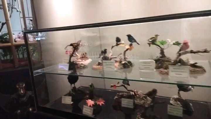 museum jatim Park 2 - vlog edisi kunjungan industri ( mfayt)