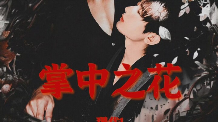 掌中之花现代1 阴暗爬行  笛花  肖顺尧出演傅飞声