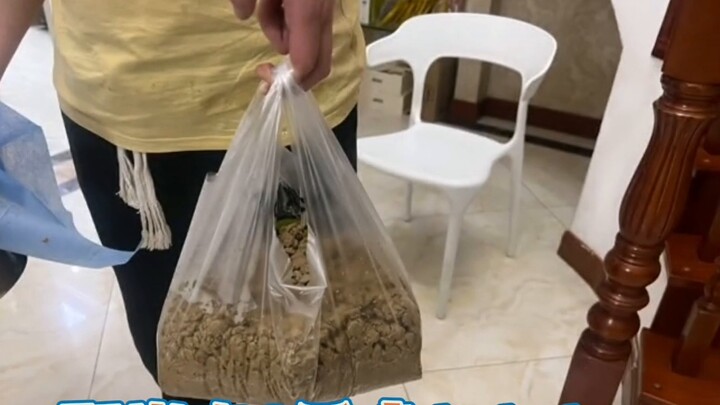 "Tentang anjing bodoh yang memamerkan sepuluh pon makanan anjing dan memasuki rumah sakit"