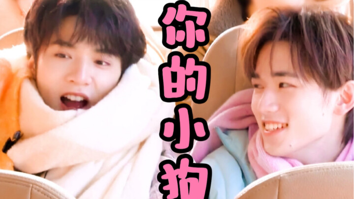 【Văn Huyên】Tôi là cún con của anh/em