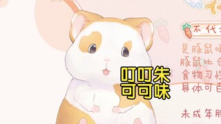 花玲：叮叮朱（可可味）是谁啊？【花玲片】