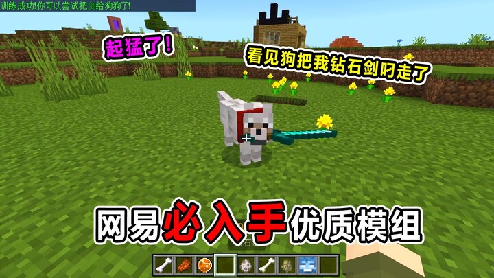 Mod berkualitas wajib punya dari NetEase! Kaget banget! Anjing juga bisa pegang pedang?