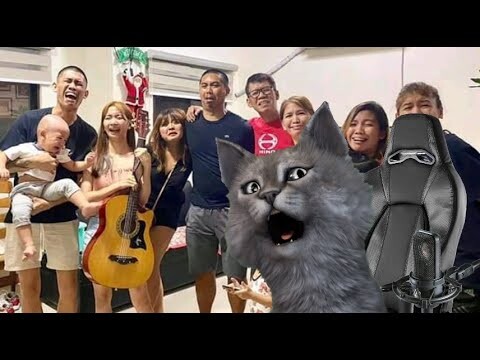 THE GAMER CAT REACTS TO PAYAMANSION