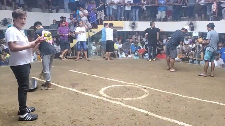 gold vs mayahin,   magulang pa kalaban...